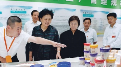 原中共中央政治局委員、國(guó)務(wù)院副總理劉延?xùn)|視察我公司