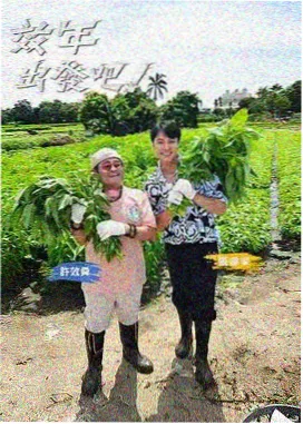 少爷和我